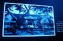 DSC00772