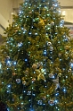 DSC00797