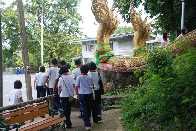 DSC_9178.JPG