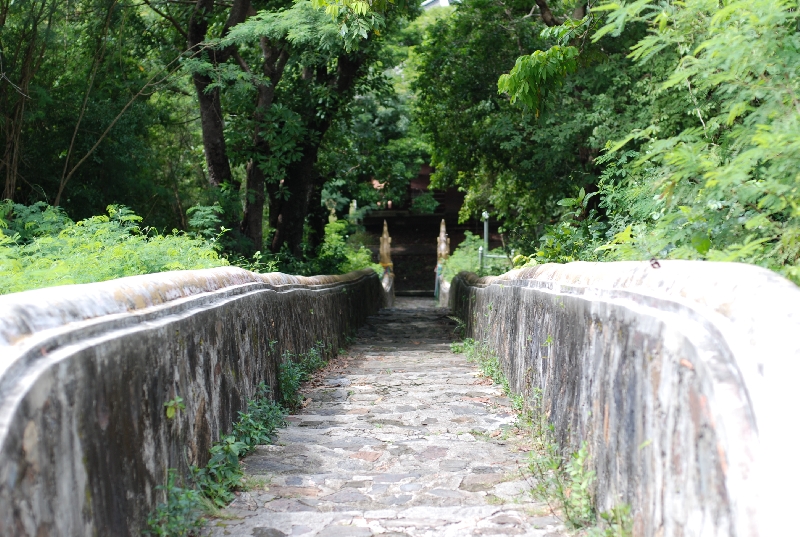 DSC_9236.JPG