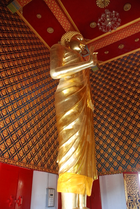 DSC_1003.JPG