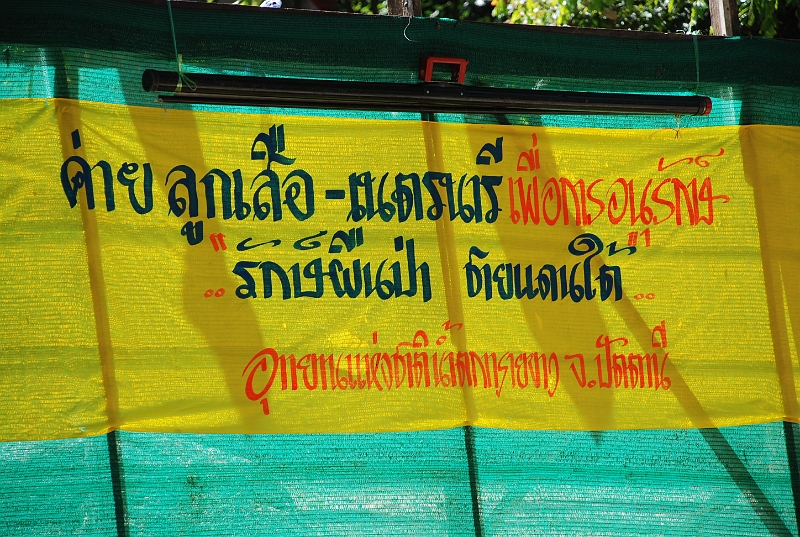 DSC_1044.JPG