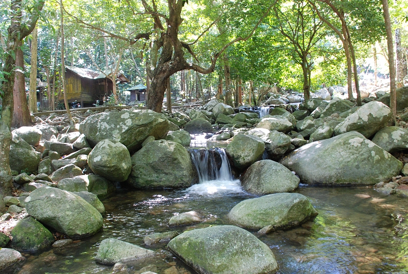 DSC_1194.JPG