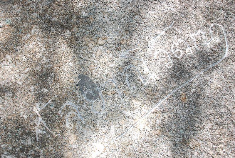DSC_1283.JPG
