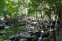 DSC_1186
