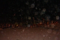 DSC01046