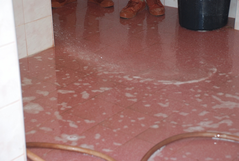 DSC_3903.JPG