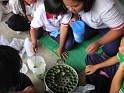 DSCN0136