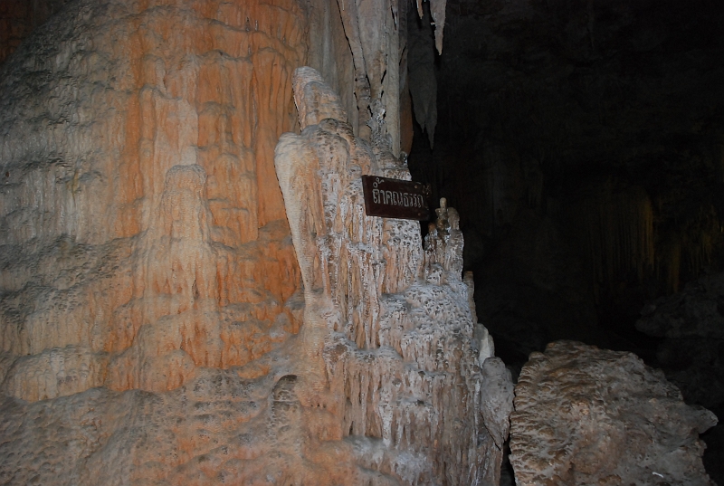 DSC_4471.JPG