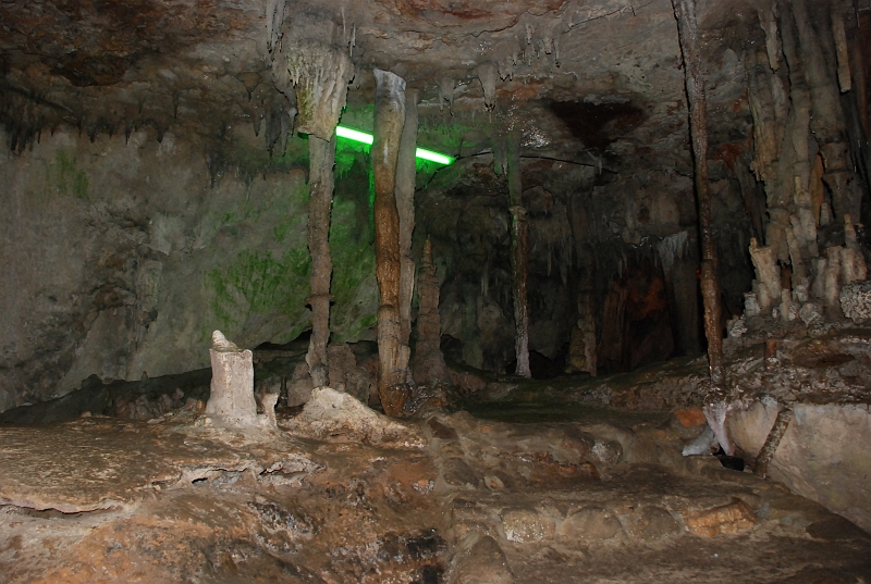 DSC_4472.JPG