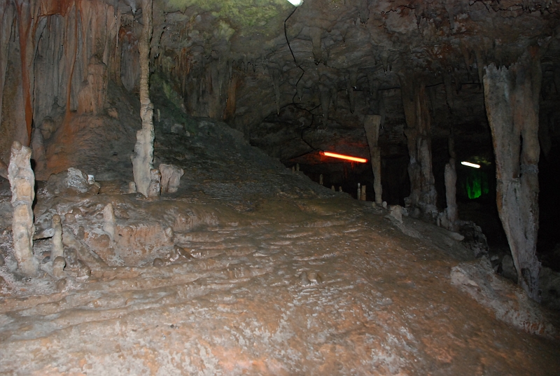 DSC_4473.JPG