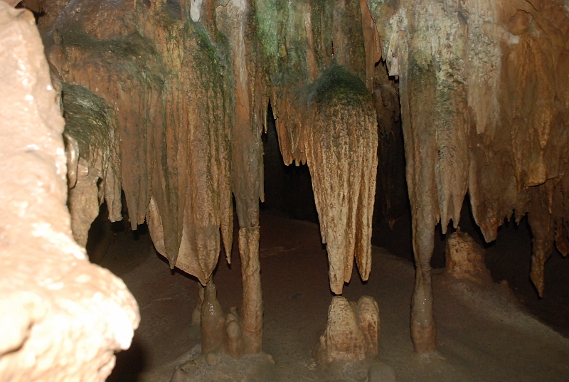 DSC_4487.JPG