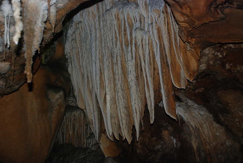 DSC_4489.JPG