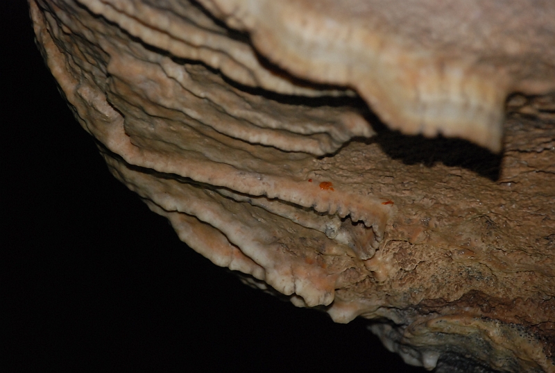 DSC_4490.JPG