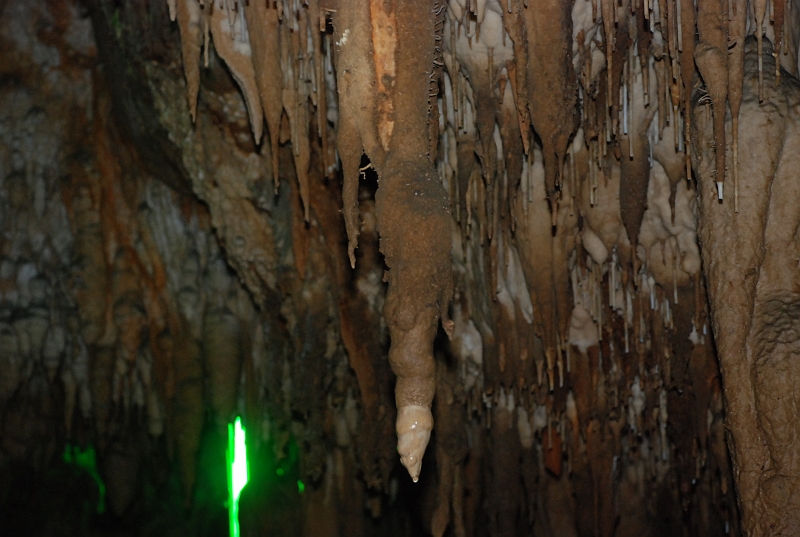 DSC_4492.JPG
