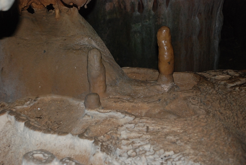 DSC_4495.JPG