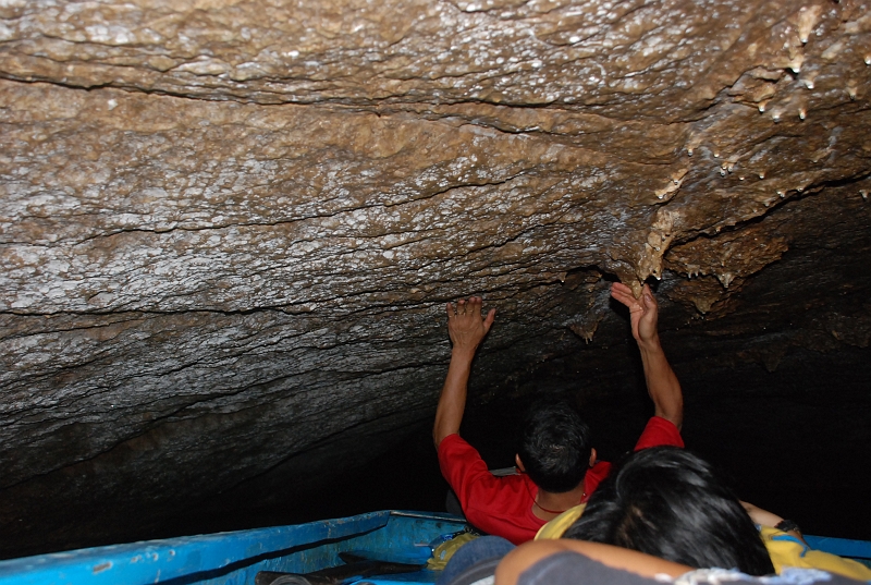 DSC_4499.JPG