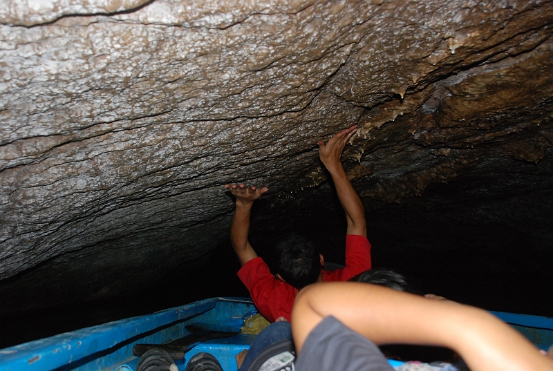 DSC_4500.JPG
