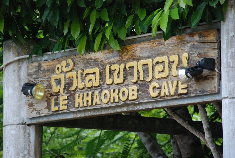 DSC_4504.JPG
