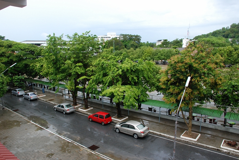 DSC_4606.JPG