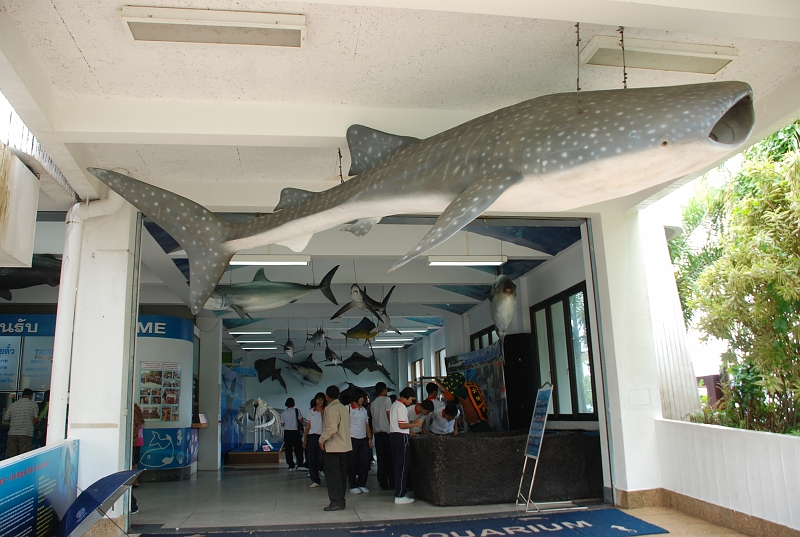 DSC_4642.JPG