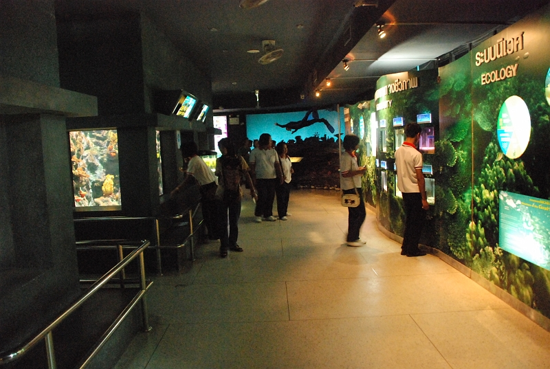 DSC_4696.JPG