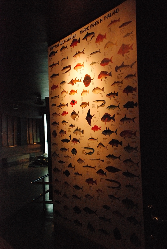DSC_4701.JPG