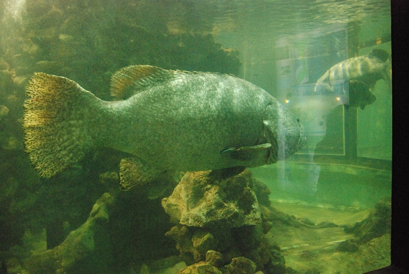 DSC_4708.JPG