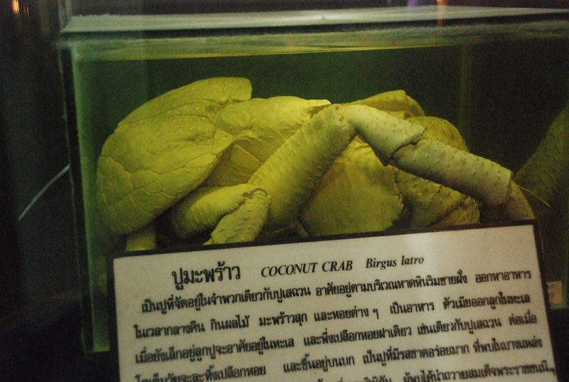 DSC_4713.JPG