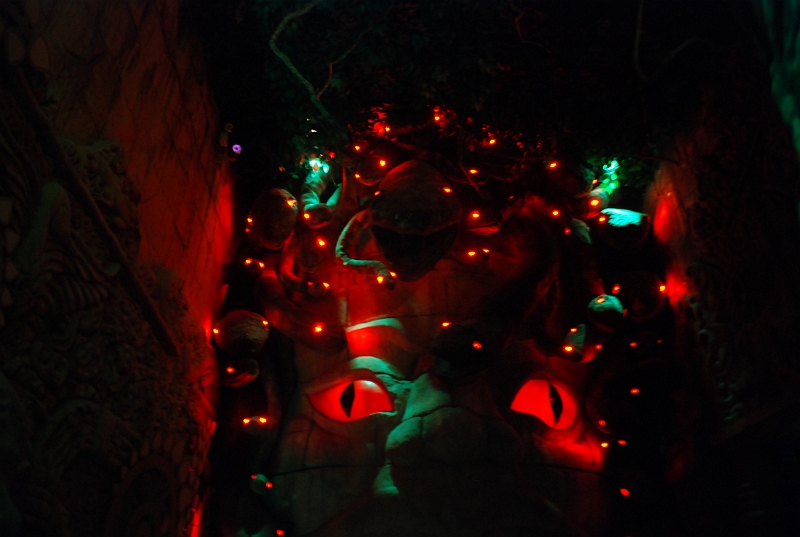 DSC_4788.JPG