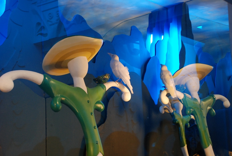 DSC_4798.JPG