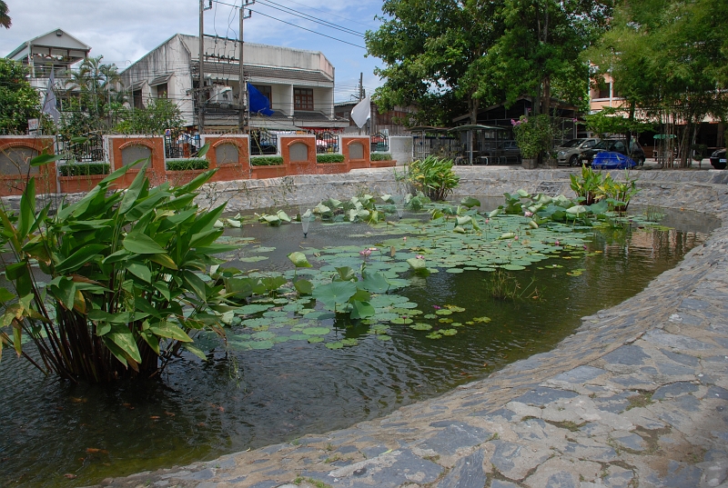 DSC_5007.JPG