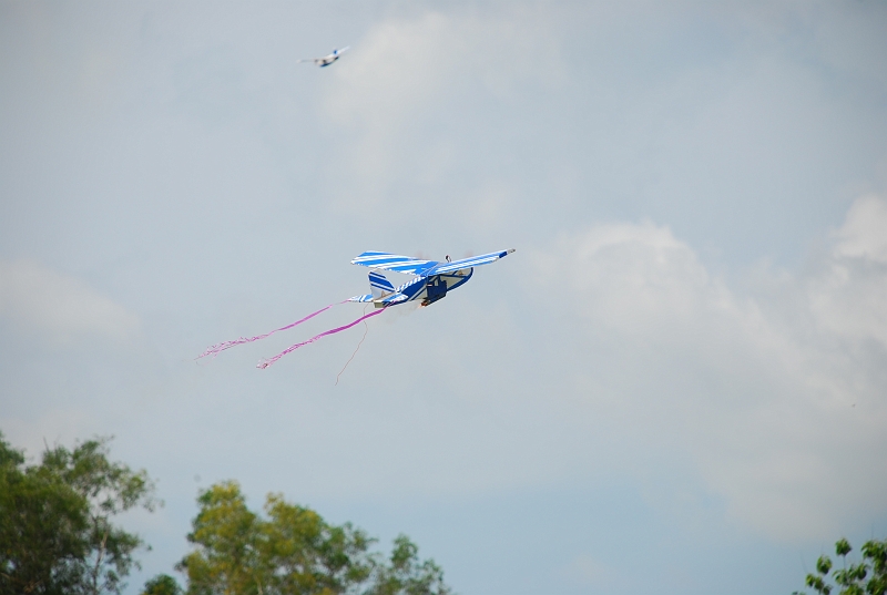 DSC_6233.JPG
