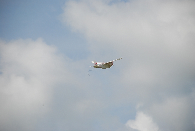 DSC_6234.JPG