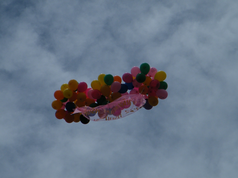 DSCF0818.JPG