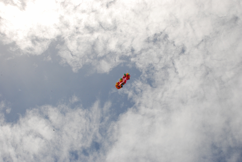 DSC_7111.JPG