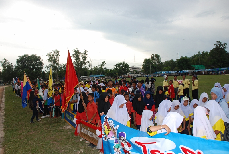 DSC_7331.JPG