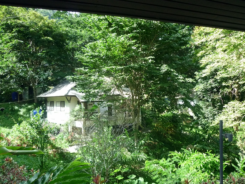 P1030643.JPG