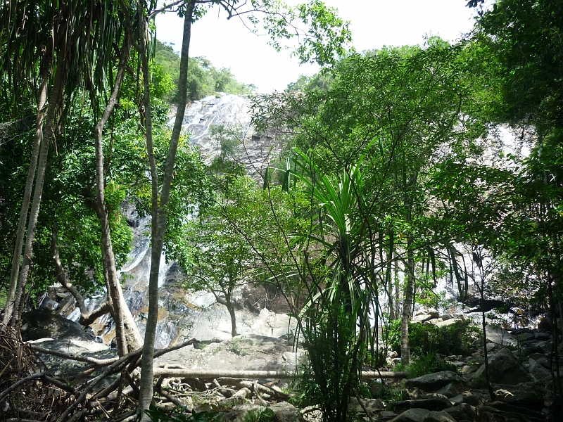 P1040016.JPG
