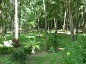 P1030635