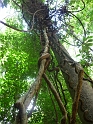 P1040022