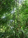 P1040023