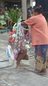DSC03986