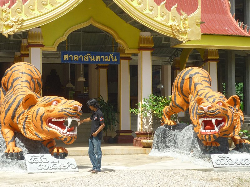 P1050682.JPG