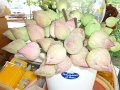 P1050601