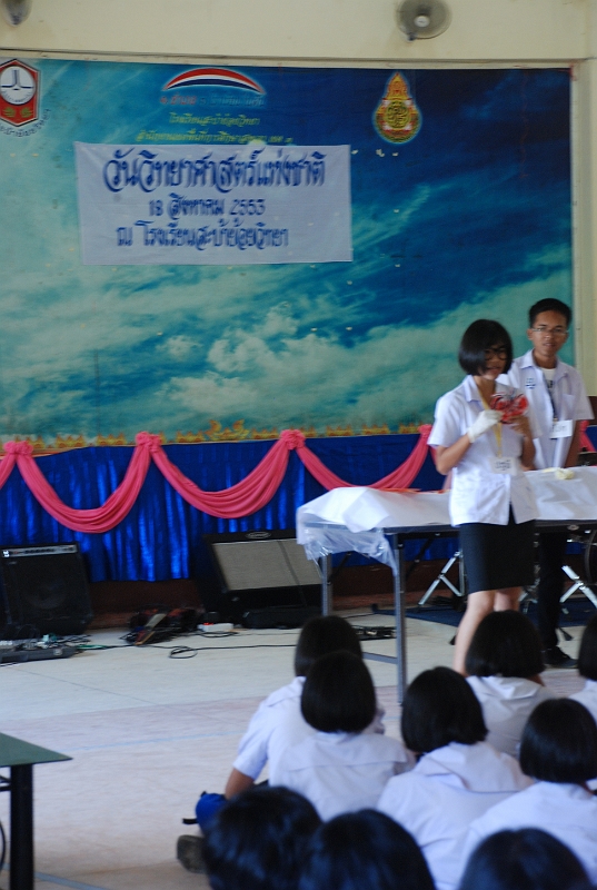 DSC_7919.JPG