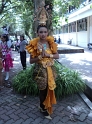 DSC00243