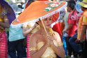 DSC_9240