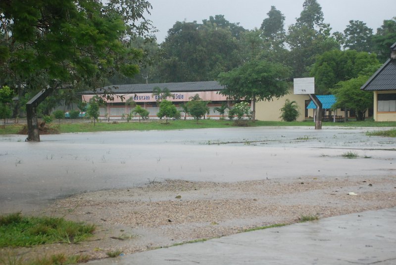 DSC_9518.JPG