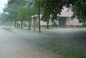 DSC_9503